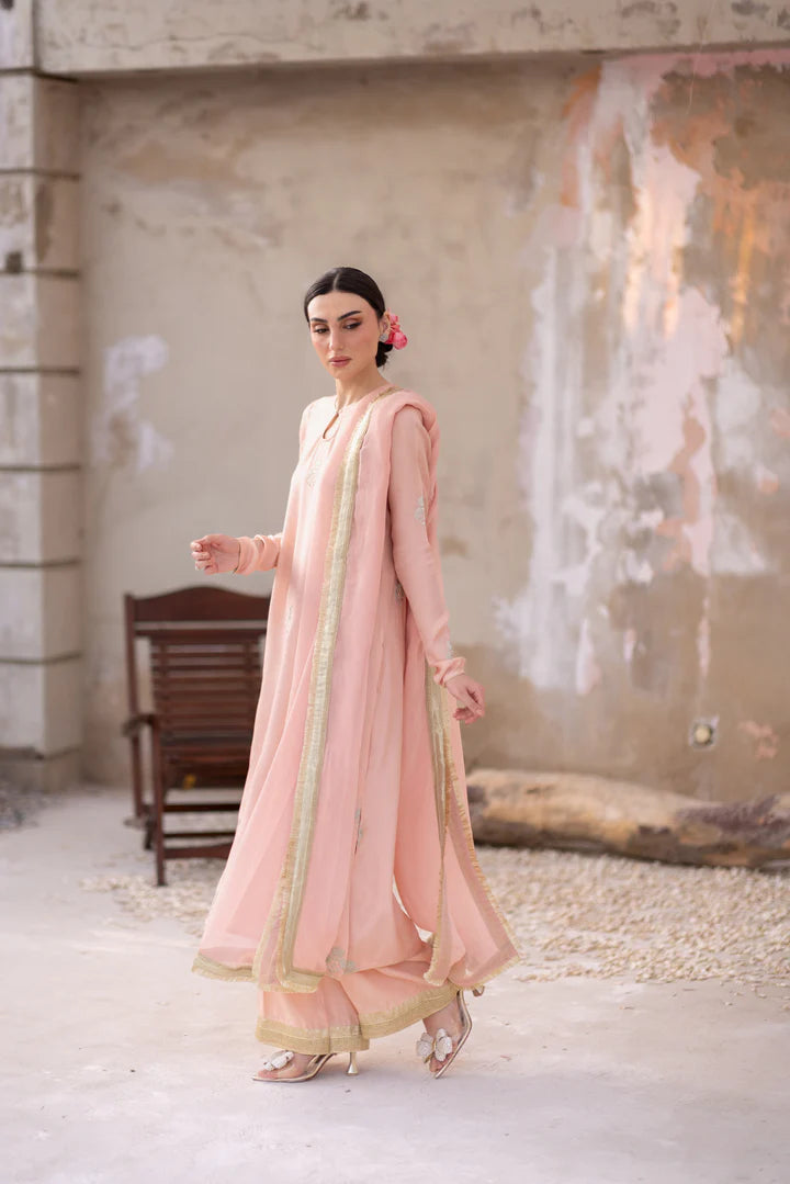 03 Piece - The Gulmina Cotton Silk Blush Pink Set